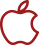 Apple Carplay icon